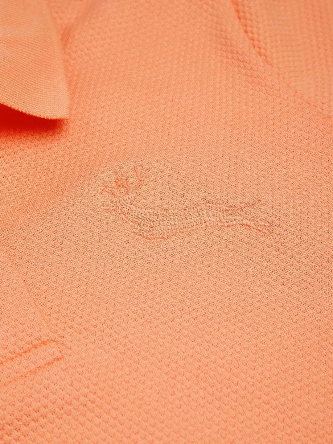 Combo Pack of 3 Polo T-Shirts (Age 2-13 Years)