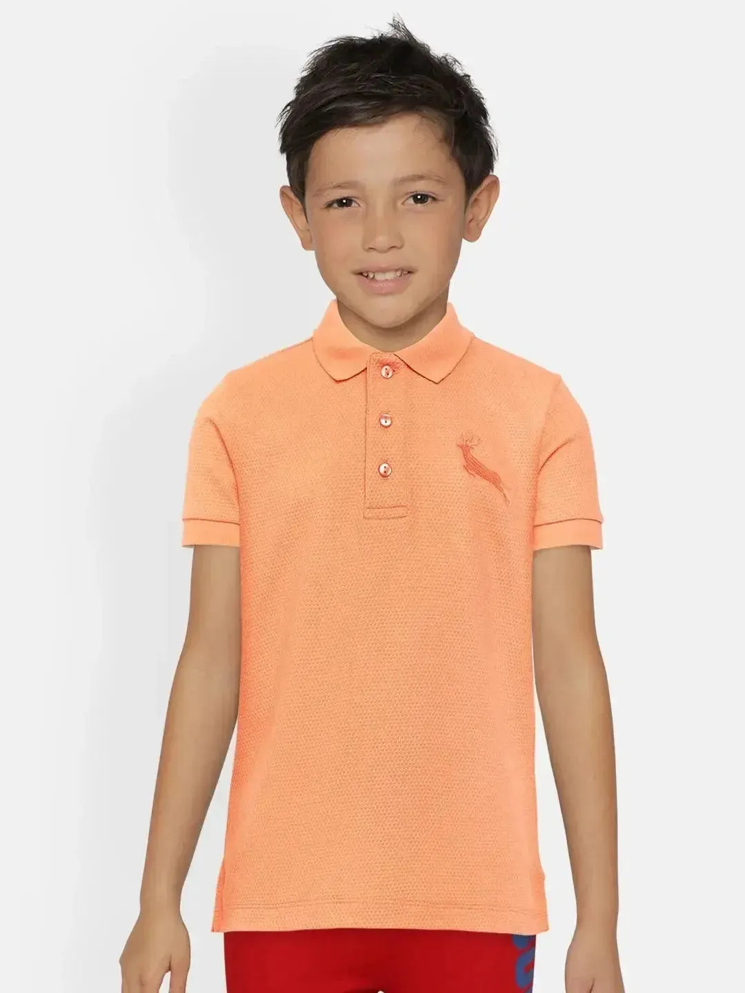Combo Pack of 3 Polo T-Shirts (Age 2-13 Years)