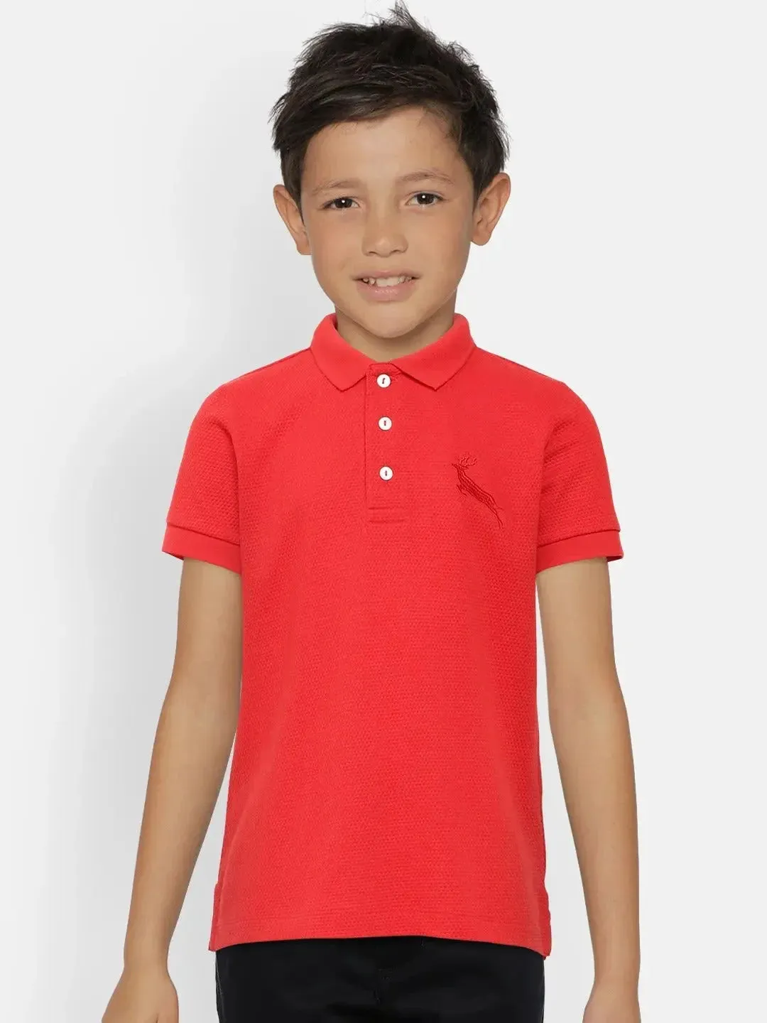 Combo Pack of 3 Polo T-Shirts (Age 2-13 Years)