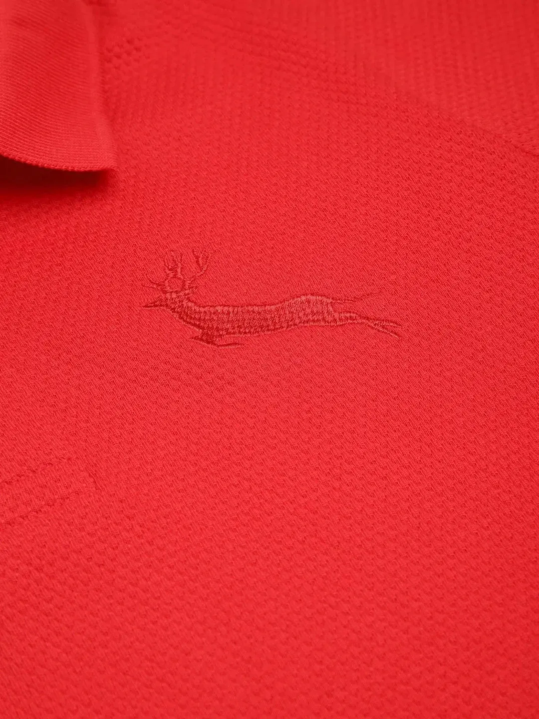 Combo Pack of 3 Polo T-Shirts (Age 2-13 Years)