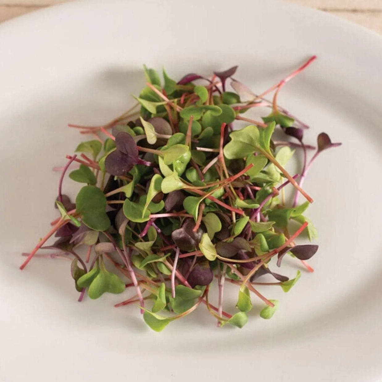 Microgreen, Confetti Radish (Raphanus sativus) - 10 grams