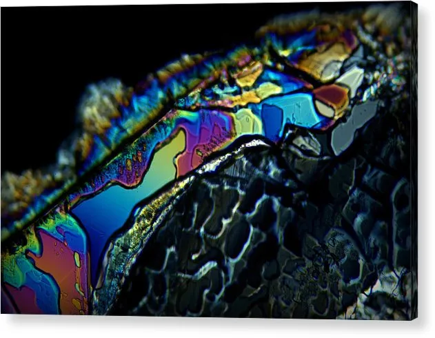 Motley - Acrylic Print