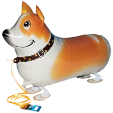 Walking Balloon Corgi "21
